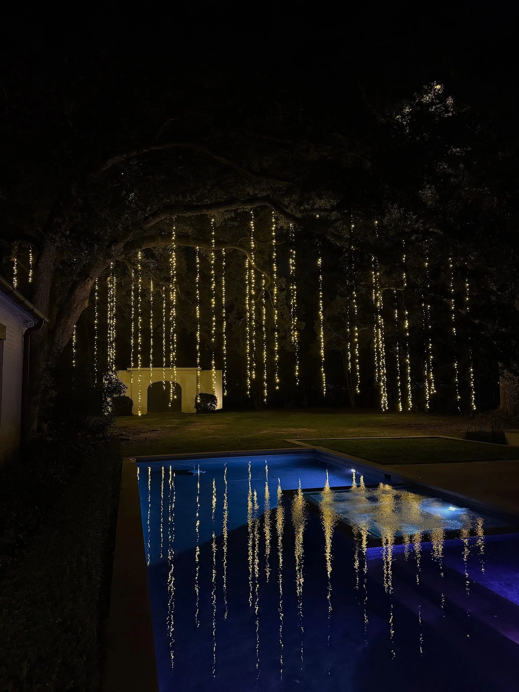 Light strands hanging from live oak limbs over a lawn and a lit pool at night
