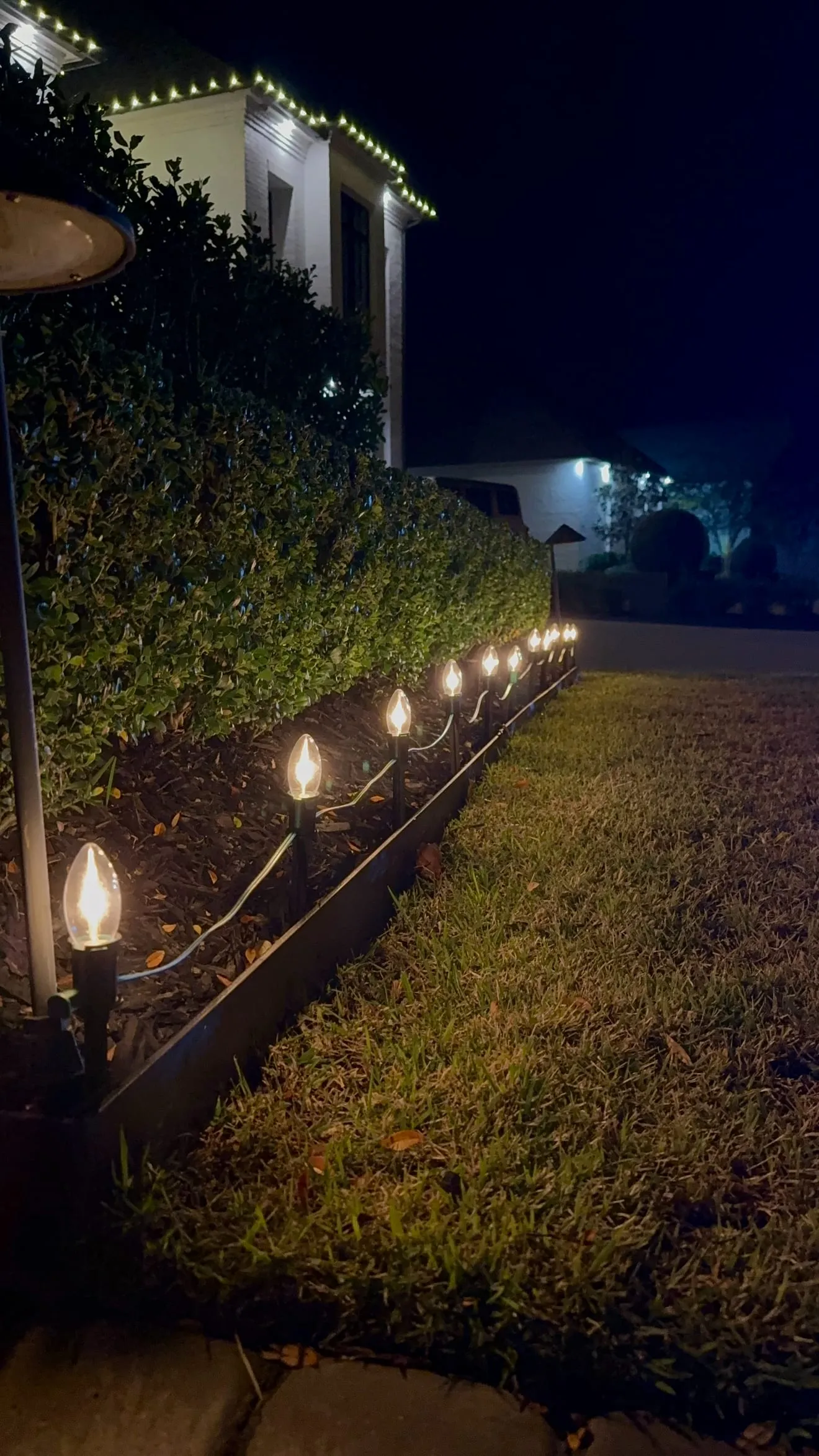 Warm white path lights along a hedge-lined walkway at night