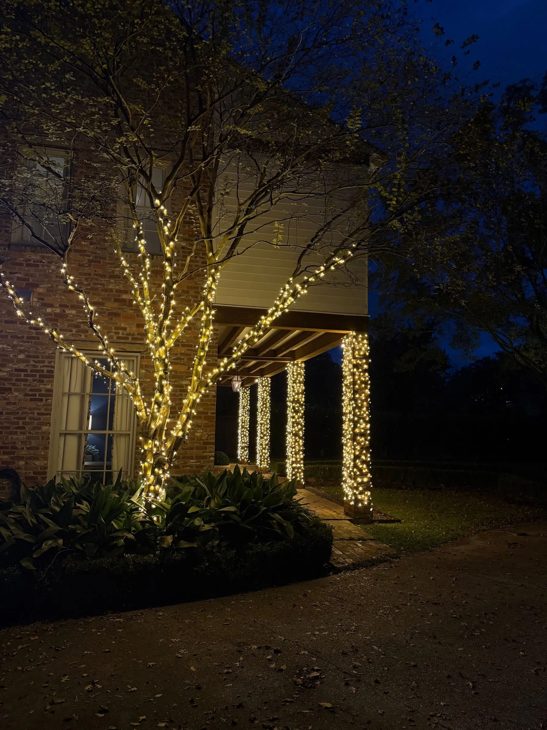 Crepe myrtle and brick columns wrapped in warm white lights