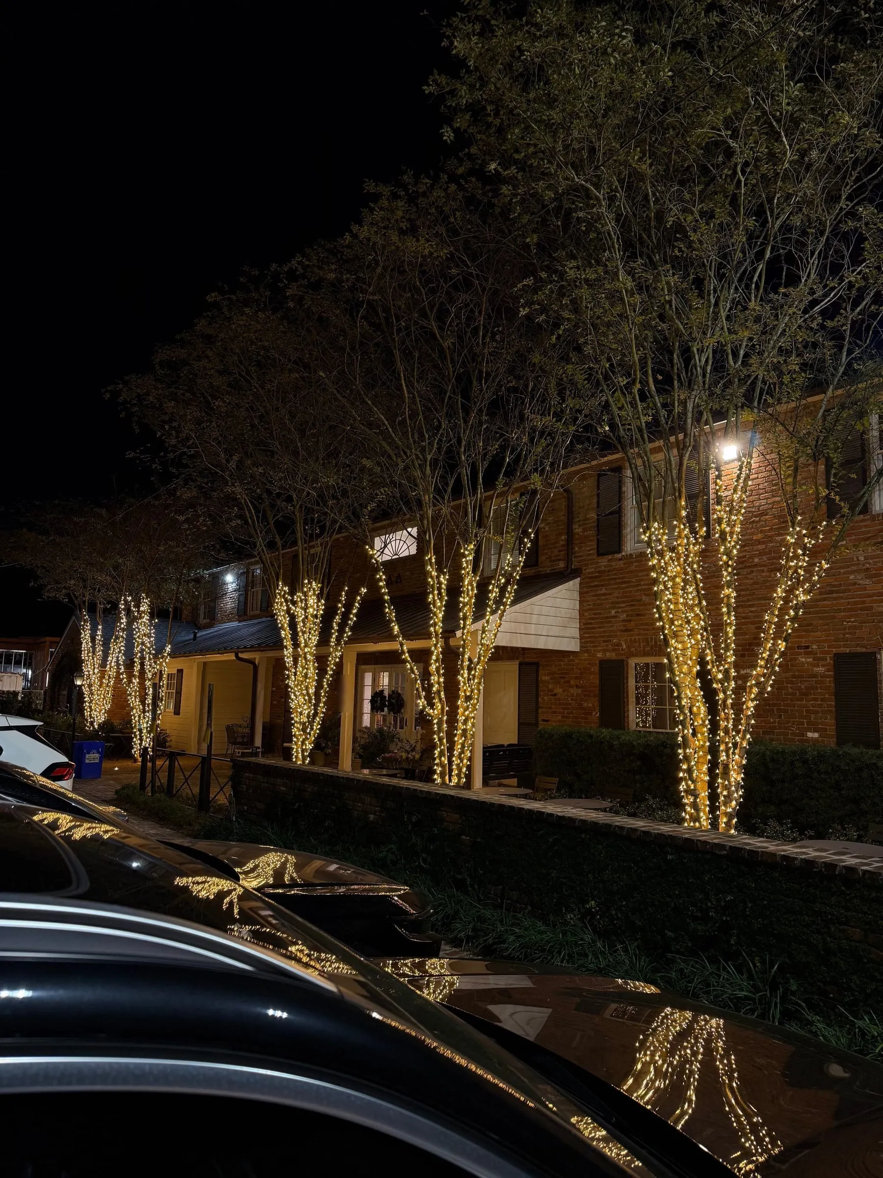 Crepe myrtles wrapped in warm white lights along a brick house, seen from the street